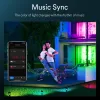 Bluetooth RGB lawn light, LED ground insertion light, mobile APP ground insertion landscape light, outdoor seven-color courtyard projector light details Picture